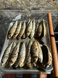 Sardines