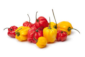 Scotch Bonnet Pepper