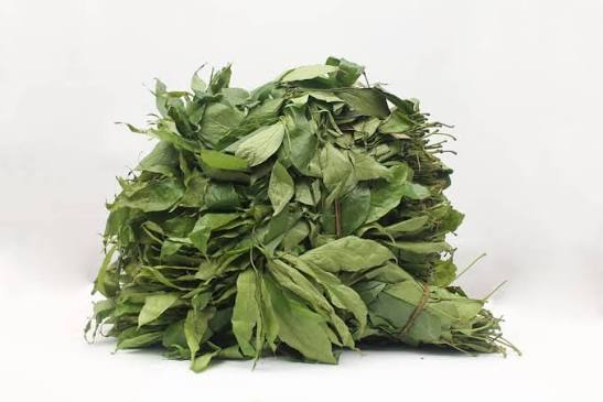 Afang Leaves